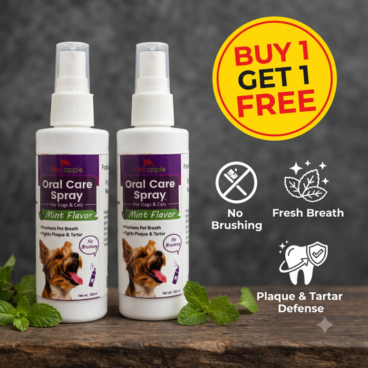 PawsFresh™ 2-in-1 Pet Oral Care Spray (Pack of 2) 🐶🐱 | Buy 1 Get 1 FREE