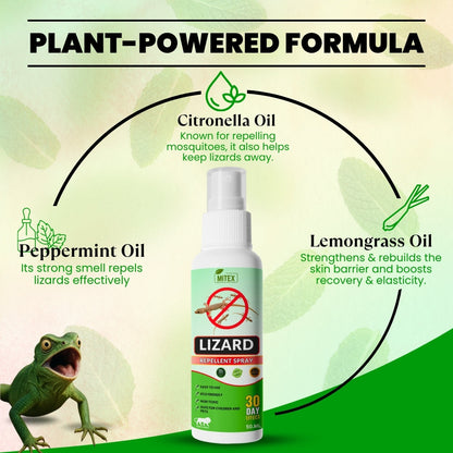 Lizard Repellent Spray - Protect your home from Pest, mite & insects | Buy 1 Get 2 FREE