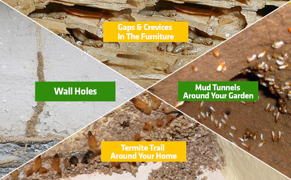 TermiShield Pro Spray - Termite Killer Spray | Buy 1 Get 2 FREE - PACK OF 3