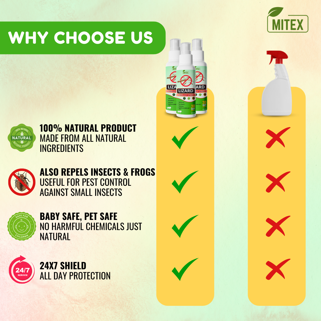 Lizard Repellent Spray - Protect your home from Pest, mite & insects | Buy 1 Get 2 FREE